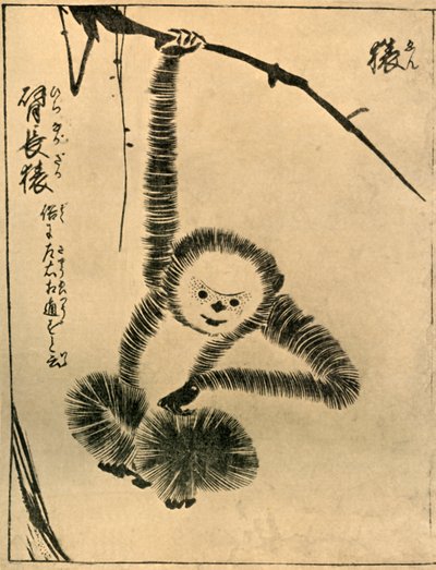 Monkey, 1720, 1924. av Tachibana Morikuni