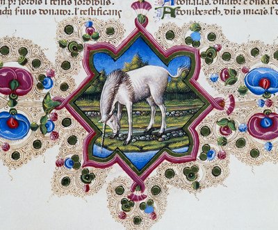 Grensefrise ved foten av siden med enhjørning, bind II f 245, v, Bibelen til Borso d'Este, Taddeo Crivelli (1425-1479) og assistenter, latinsk manuskript av Taddeo Crivelli