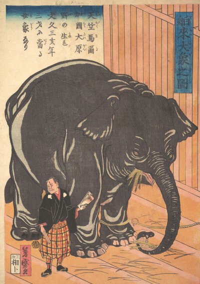 Utsikt over den store importerte elefanten, 1863 Bunkyo 3, 4. måned. av Taguchi Yoshimori