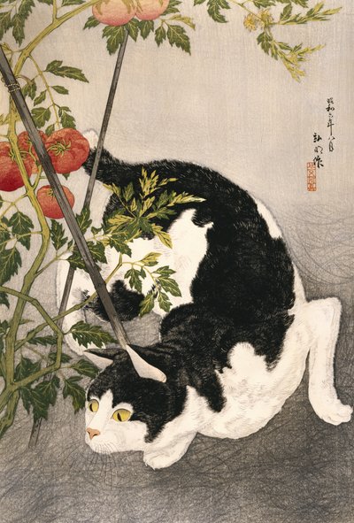 Cat prowling Around a staked tomatplant, 1931 (treblokktrykk) av Takahashi Hiroaki