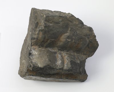 Fragment av en lotussokkel av Tang Dynasty Chinese School