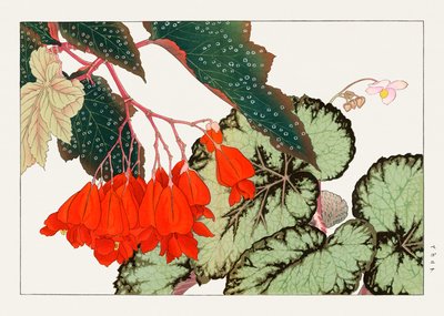  av Tanigami Konan