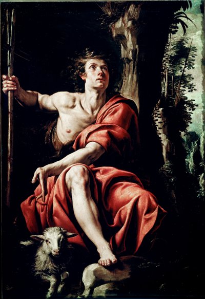 Saint John in the Desert-maleri av Tanzio da Varallo (Antonio d