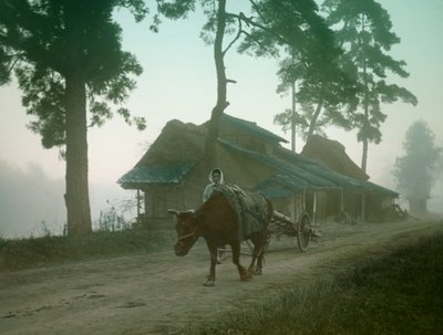  av Teijiro Takagi