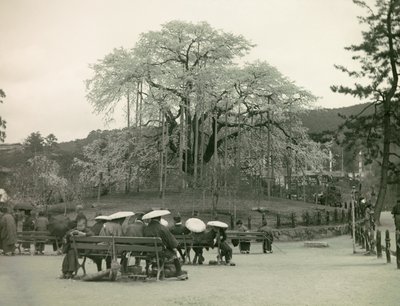  av Teijiro Takagi