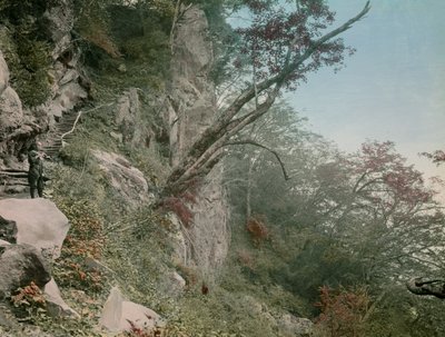 på veien til Kegon-fossene i Nikko, cirka 1900–1915 (fotografi) av Teijiro Takagi