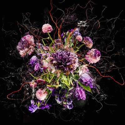 Bouquet IV, 2017 (bilde) av Teis Albers