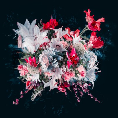 Bouquet V, 2018 (bilde) av Teis Albers