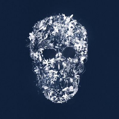 FloralSkull, 2018 (blandet media på lerret) av Teis Albers