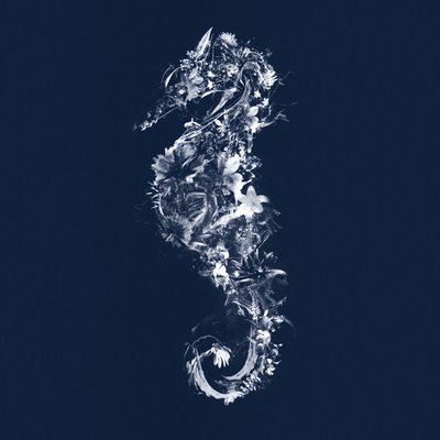 Floralseahorse, 2019 (blandet media på lerret) av Teis Albers