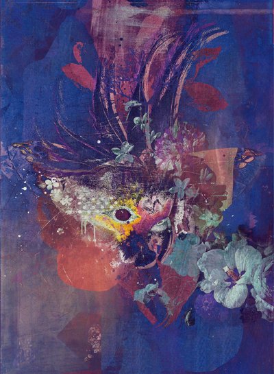 Peacock, 2016 (Collage på lerret) av Teis Albers