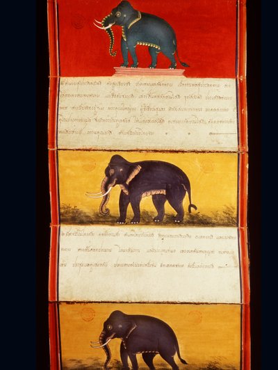 Folio fra et manuskript om elefanttrening (penn og blekk og wc på papir) av Thai School