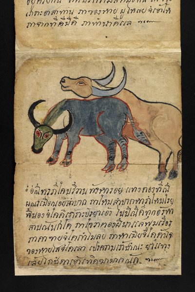 Eller. 16482, f.15 