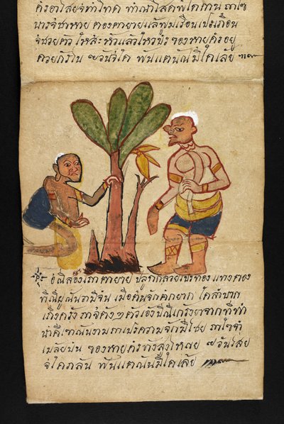 Eller. 16482, f.21 'Satra' Om spådom og råd for en lykkelig og sunn livsstil (papirbrettebok) av Thai School