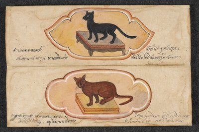 Siamese katter, Fol. 1: to heldige katter for å støtte virksomhet og akkumulering av rikdom, eller. 16797, f.1 (pergament) av Thai School