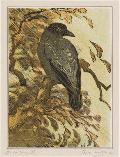 Pied kråke på gren av Theo van Hoytema (signed by artist)