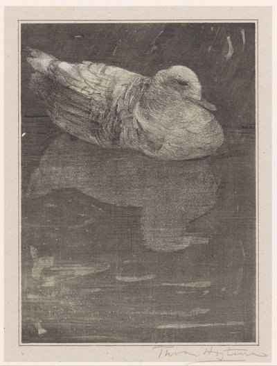 flytende and av Theo van Hoytema (signed by artist)