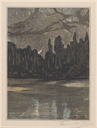 Nattelandskap med trekkfugler av Theo van Hoytema (signed by artist)