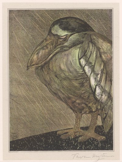 Båthegre i regnet av Theo van Hoytema (signed by artist)