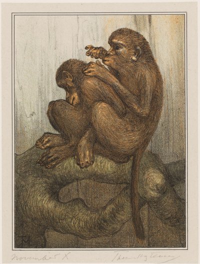 loppeaper av Theo van Hoytema (signed by artist)