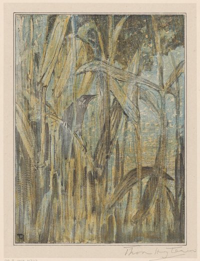 Fugl i sivet av Theo van Hoytema (signed by artist)