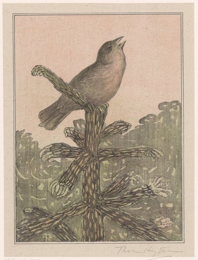 Syngende fugl på furutre av Theo van Hoytema (signed by artist)
