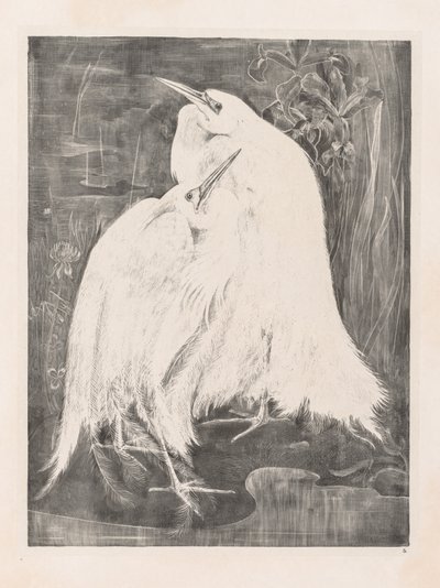  av Theo van Hoytema
