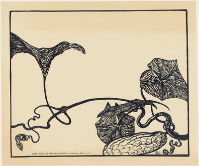 sylteagurk plante av Theo van Hoytema
