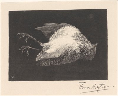 Død Robin av Theo van Hoytema