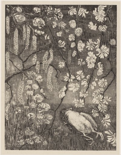 Død fugl under hassel- og kaprifolgreiner Flower Studies (original serietittel) av Theo van Hoytema