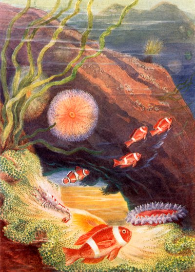  av Theobald Carreras