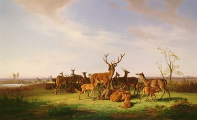 En flokk hjort i et solbelyst beite av Theodor Julius Kiellerup