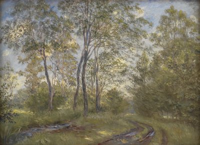 En elv nær Meilgård Herregård, Jylland av Theodor Philipsen