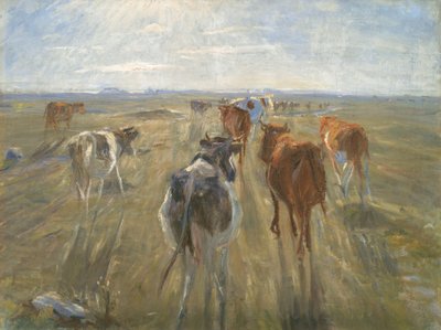 Lange skygger. Storfe på øya Saltholm av Theodor Philipsen
