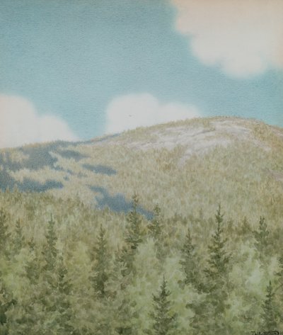 En fugl fløy dit av Theodor Severin Kittelsen