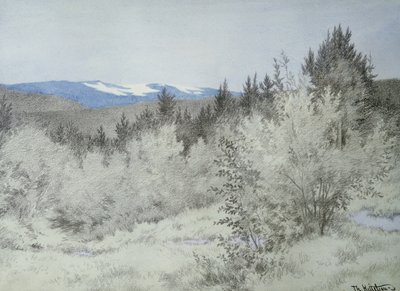 Langt langt borte i skogen av Theodor Severin Kittelsen