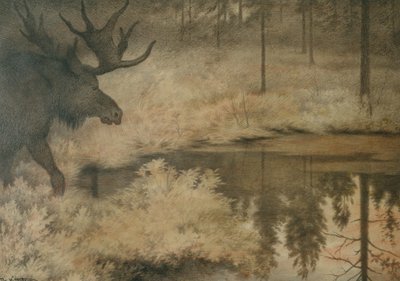 Elgen kommer for å slukke tørsten av Theodor Kittelsen