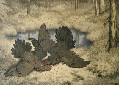 Trollfuglen kjemper der inne av Theodor Kittelsen