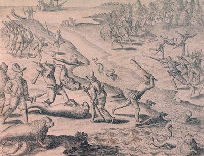 Slakting av sjøløver av oppdagere av Theodor de Bry