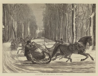 Kanefart i Haag, Holland av Theodore Blake Wirgman