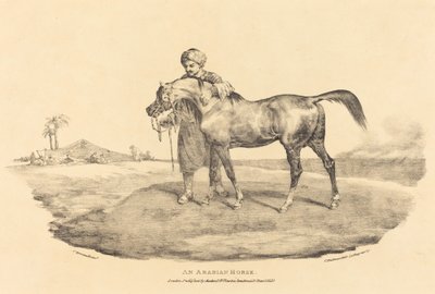 En arabisk hest av Theodore Gericault