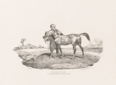 En arabisk hest av Theodore Gericault