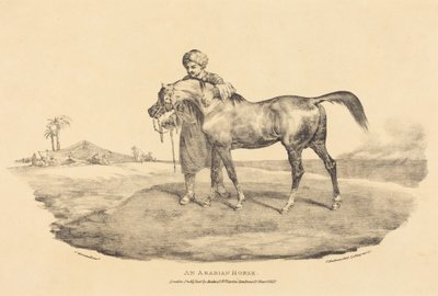 En arabisk hest av Theodore Gericault