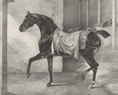 Svart hest bundet i en stall, 1822. av Theodore Gericault