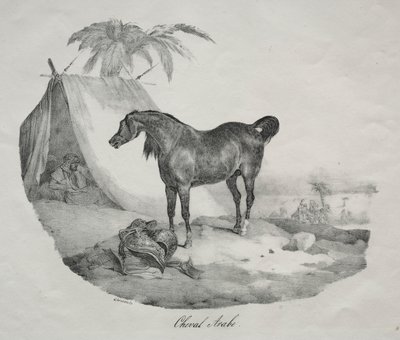 Arabisk hest. av Theodore Gericault