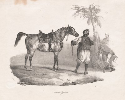 egyptisk hoppe av Theodore Gericault