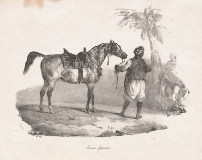 Egyptisk hoppe av Theodore Gericault