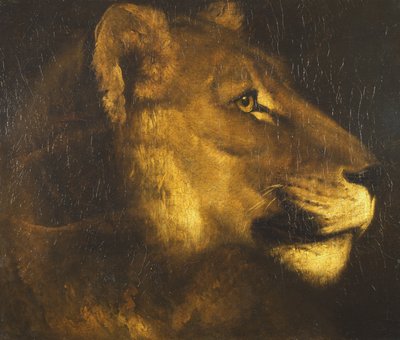 Leder for en løvinne av Theodore Gericault
