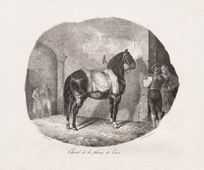 Hest fra Caen-sletten  av Theodore Gericault