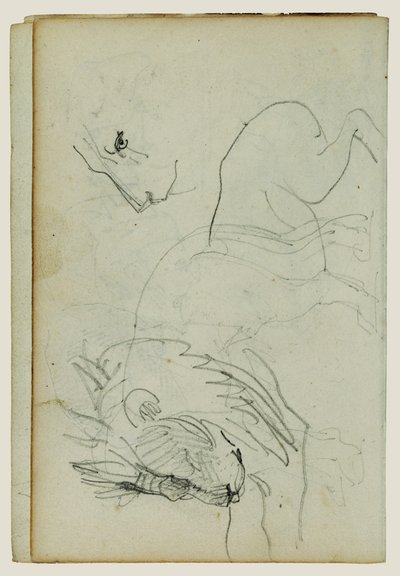Løvestudier av Theodore Gericault